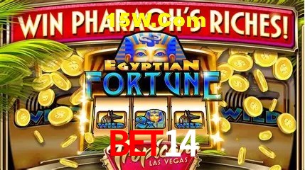 Experiência VIP bet14